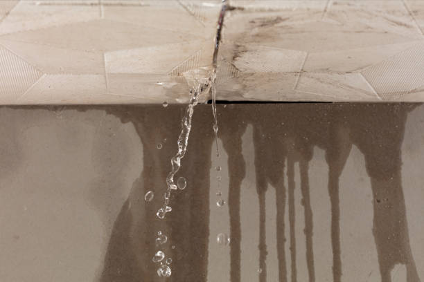 Professional Burst Pipe Cleanup technician working in Ripon, WI